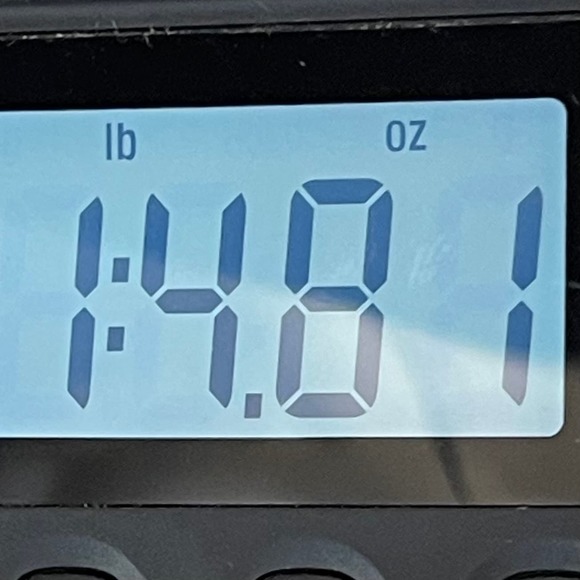 Fiji Mens Pullover Button Down Sweater Size Large Gray Wool Blend - Picture 8 of 9